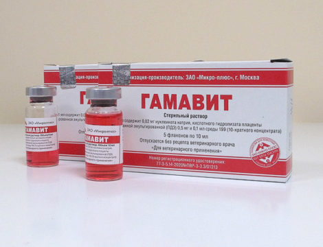 Гамавит для попугаев