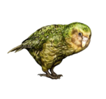 Kakapo